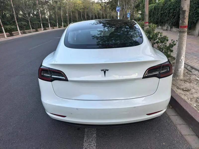 Model 3 2019 Standard Range RWD Upgraded Edition — 6