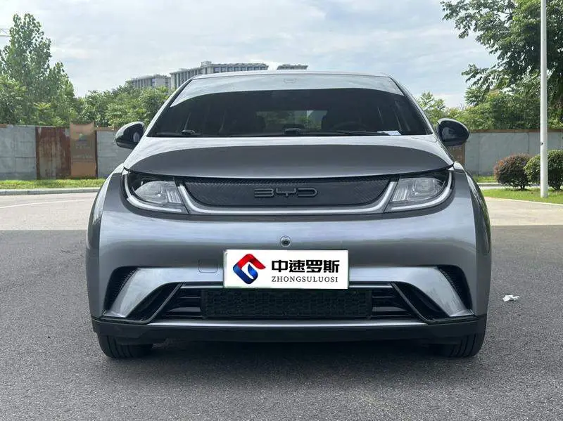 dolphin 2024 Honor Edition 420km Freedom Edition — 2