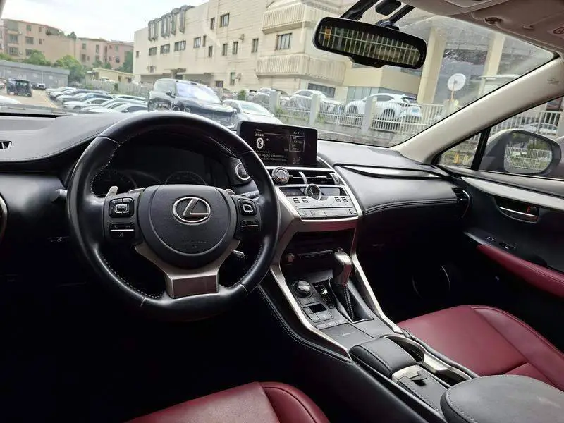 Lexus NX 2020 200 Front-Drive Fengyi Edition National VI — 10