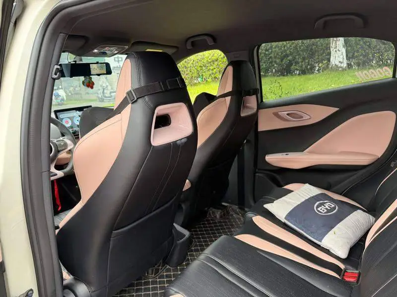 Seagull 2024 Glory Edition 305km Vitality Edition — 12
