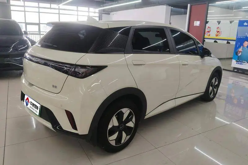 dolphin 2025 420km Freedom Edition — 3