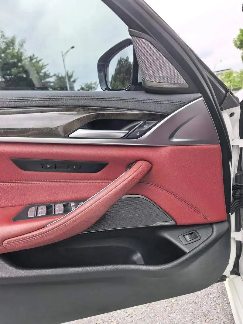 BMW 5 Series 2019 530Li Leading M Sport Package — 9