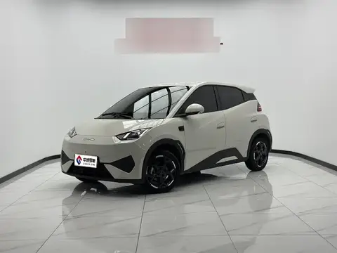Seagull 2025 Smart Driving Edition 405km Flying Edition