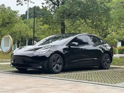 Model 3 2021 Standard Range RWD Upgraded 3D6