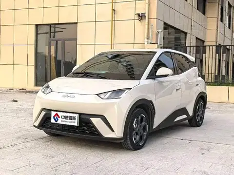 Seagull 2025 405km Flying Edition