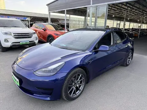 Model 3 2021 Standard Range RWD Upgraded 3D6