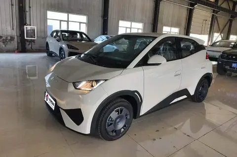 Seagull 2025 Smart Driving Edition 305km Vitality Edition