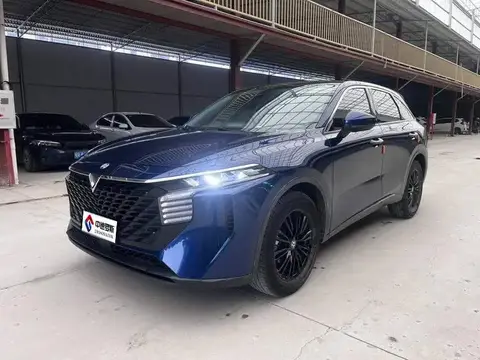 Qichen Big V 2022 260T Dark Horse Edition·Idol