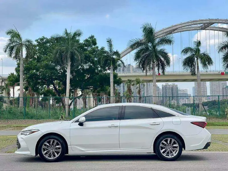 Asian Dragon 2019 2.0L Luxury Edition National VI — 3