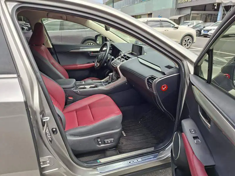 Lexus NX 2020 200 Front-Drive Fengyi Edition National VI — 18