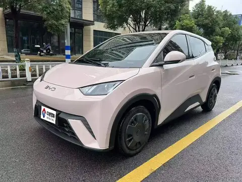 Seagull 2025 305km Vitality Edition