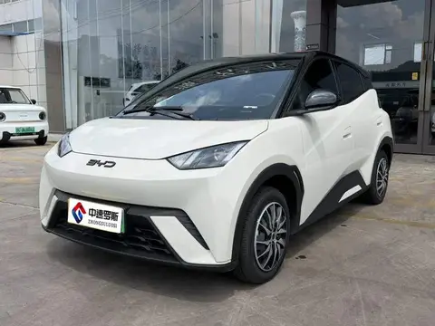 Seagull 2023 Liberty Edition