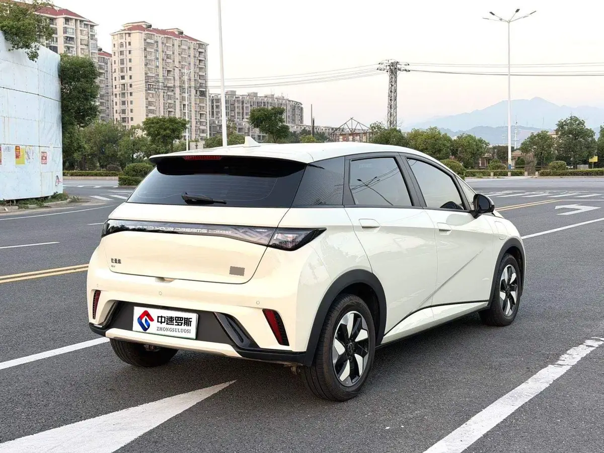 dolphin 2025 420km Freedom Edition — 6