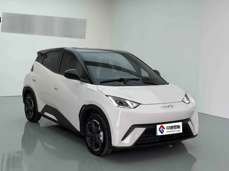 Seagull 2024 Glory Edition 305km Vitality Edition — 3