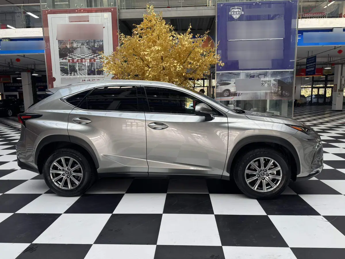 Lexus NX 2020 200 All-wheel Drive Frontier Edition National VI — 8