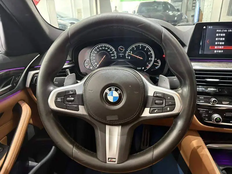 BMW 5 Series 2018 530Li Leading M Sport Package — 17
