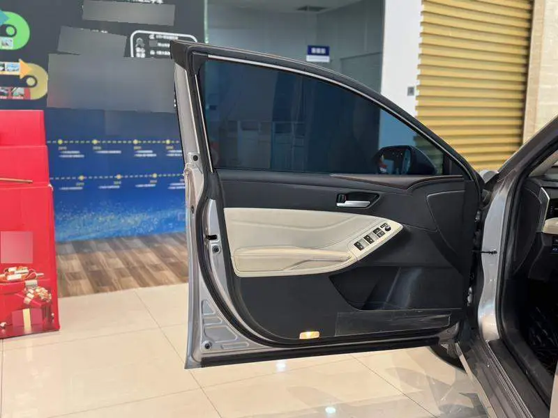 Asian Dragon 2019 2.0L Luxury Edition National VI — 17