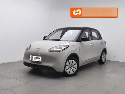 Wuling Bingo 2023 333km Express Edition