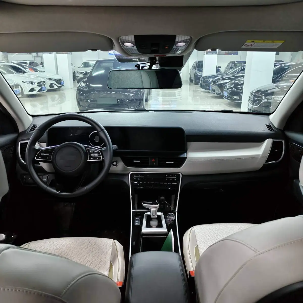 Cytus 2023 1.4T DCT Premium Luxury Edition — 7