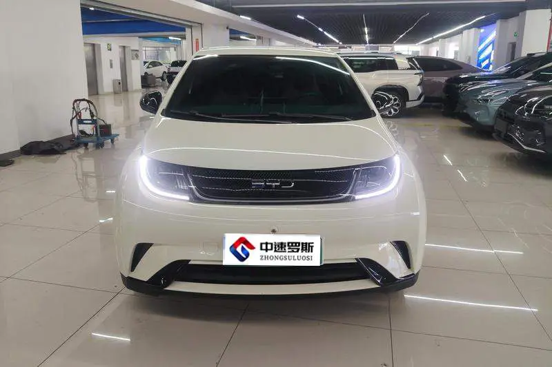 dolphin 2025 420km Freedom Edition — 2