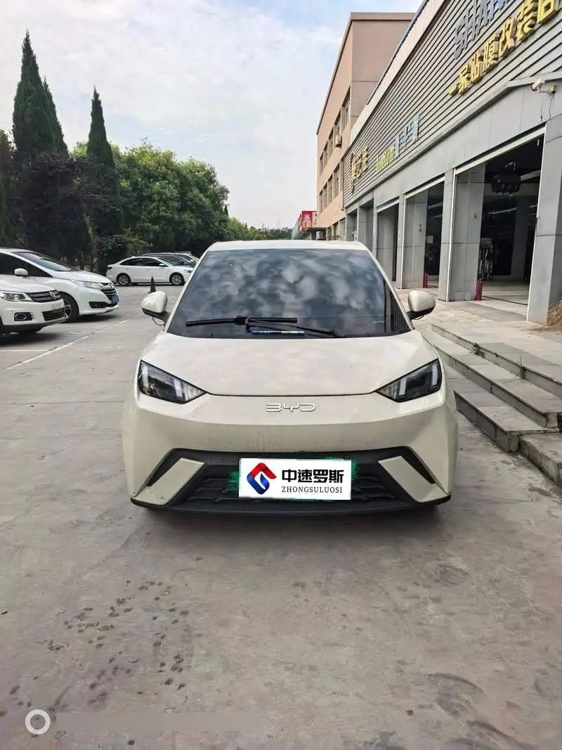Seagull 2025 Smart Driving Edition 405km Flying Edition — 2