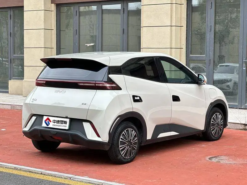 Seagull 2024 Glory Edition 305km Vitality Edition — 6