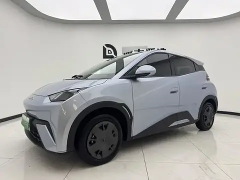 Seagull 2025 305km Vitality Edition