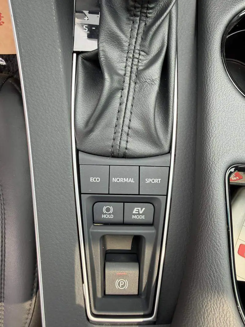Asian Dragon 2019 Hybrid 2.5L Luxury Edition National VI — 15