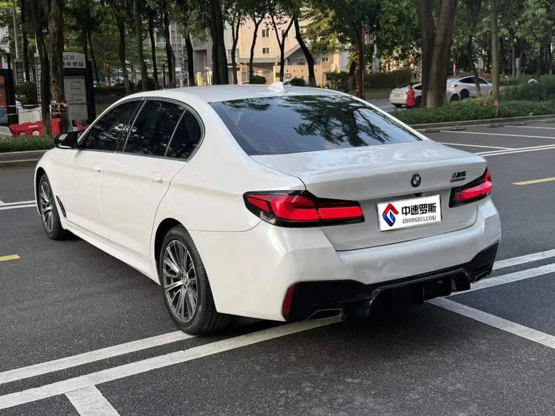 BMW 5 Series 2021 525Li Luxury Package — 4