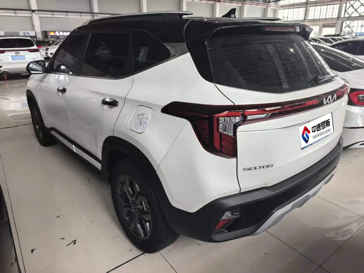 Cytus 2023 1.5L CVT Luxury Edition — 4