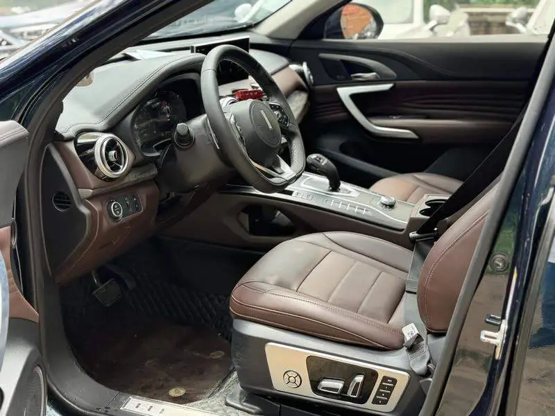 Wei brand VV7 2020 2.0T Flagship — 12