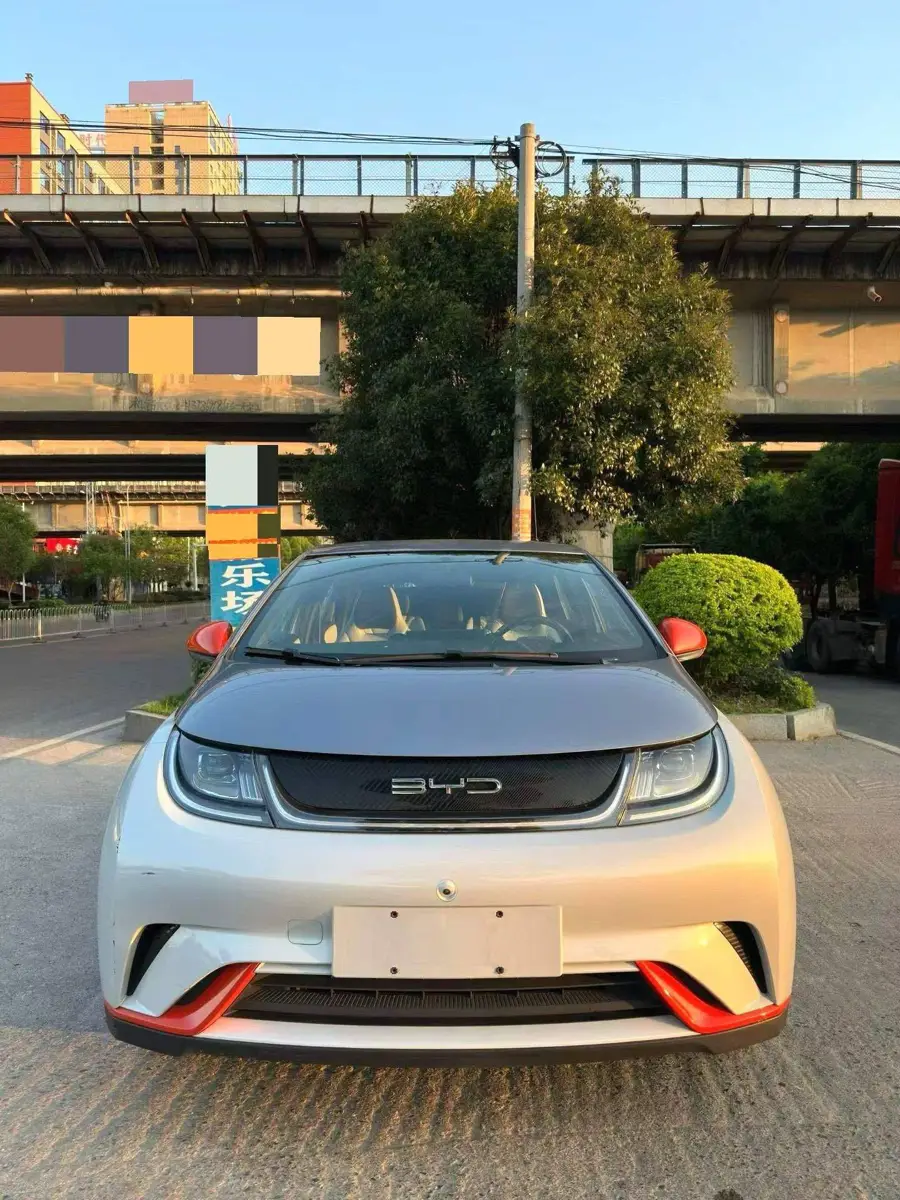 dolphin 2021 405km Freedom Edition — 2