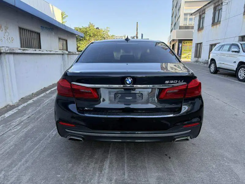 BMW 5 Series 2019 530Li xDrive M Sport Package — 3