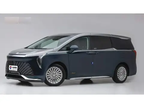 century 2023 2.0T Four-seat Private Edition