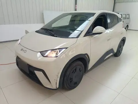 Seagull 2024 Glory Edition 305km Vitality Edition