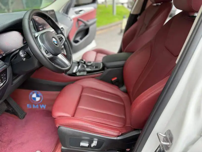 BMW X4 2022 xDrive 30i M Sport Package — 10