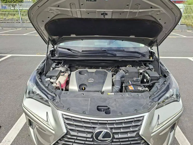 Lexus NX 2020 200 Front-Drive Fengyi Edition National VI — 8