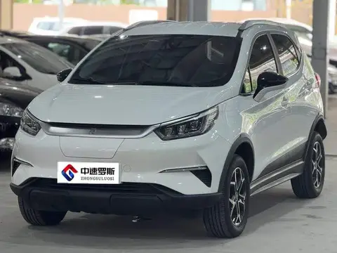 Yuan Pro 2023 401KM Luxury Model