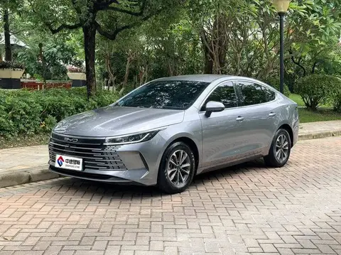 Destroyer 05 2024 Honor Edition DM-i 55KM Luxury