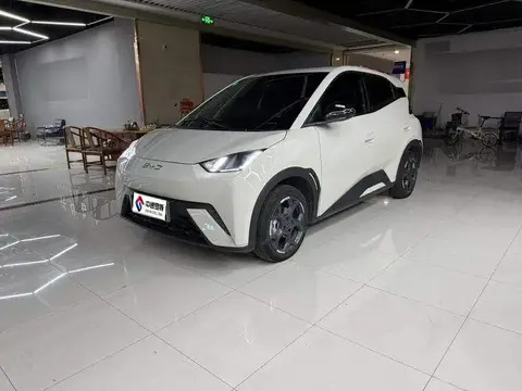 Seagull 2025 305km Freedom Edition