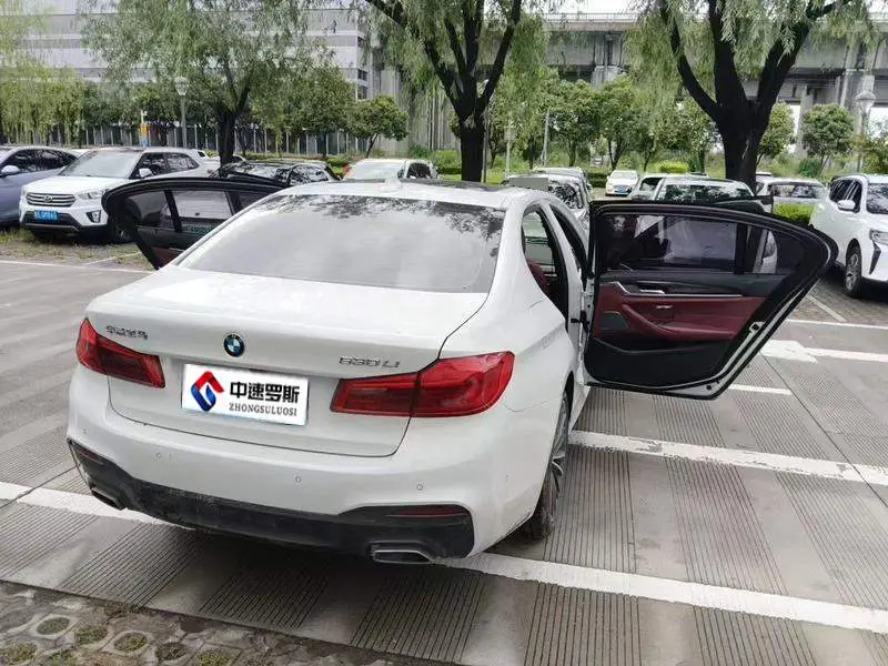 BMW 5 Series 2020 530Li Leading M Sport Package — 3