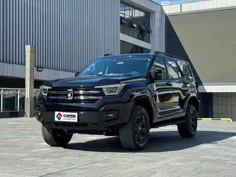 Tank 400 2025 2.0T gasoline version