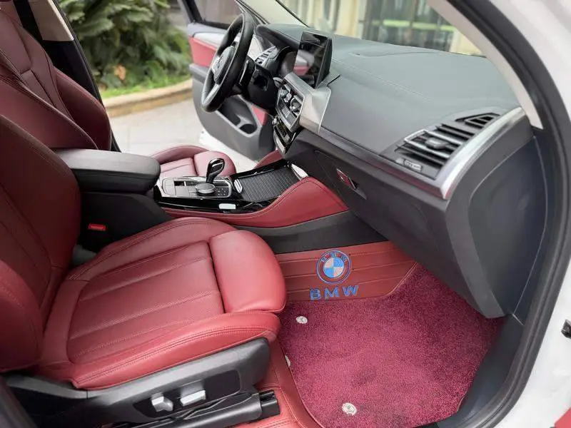 BMW X4 2022 xDrive 30i M Sport Package — 7