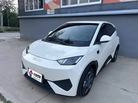 Seagull 2025 Smart Driving Edition 305km Free Edition