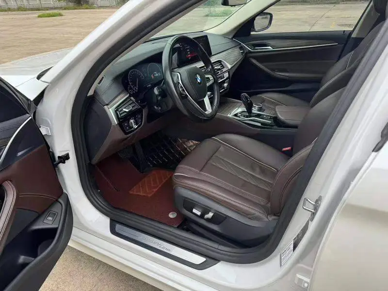 BMW 5 Series 2019 530Li Leading Luxury Package — 8
