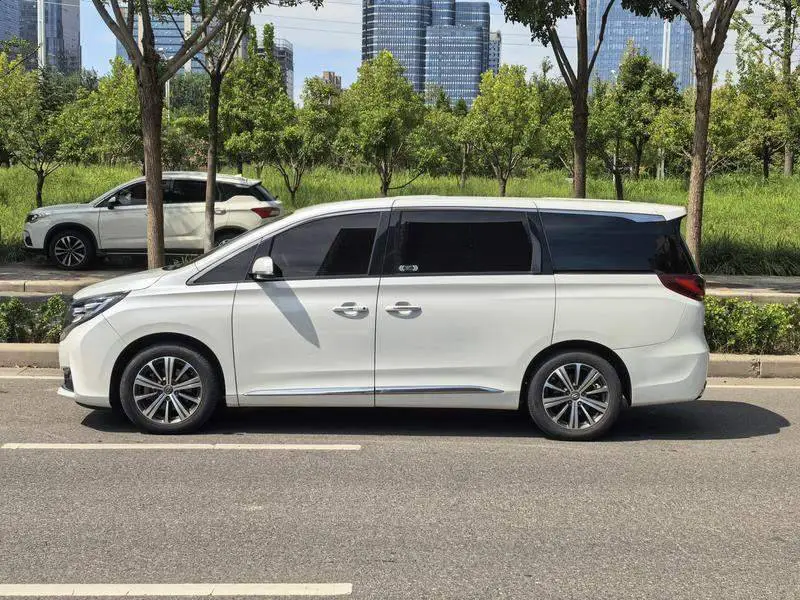 Trumpchi M8 2020 390T Premium Edition — 4