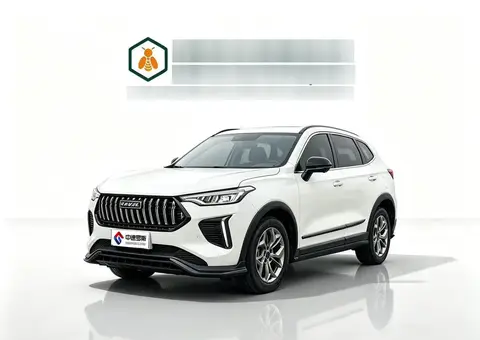 Haval Chitu 2022 Jinxiang Edition 1.5T Copper Rabbit