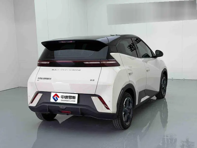 Seagull 2024 Glory Edition 305km Vitality Edition — 6