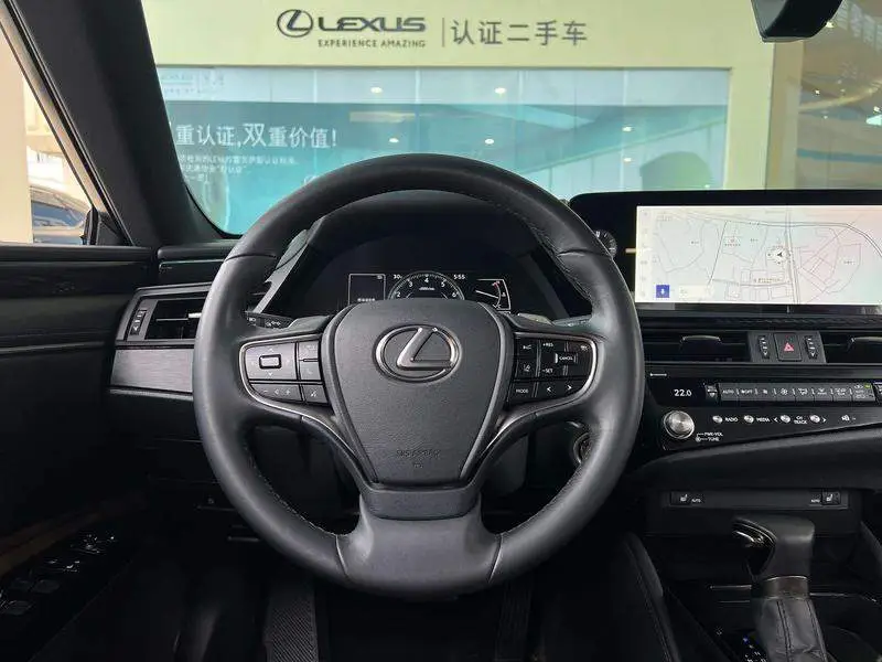 Lexus ES 2022 200 Excellence Edition — 9