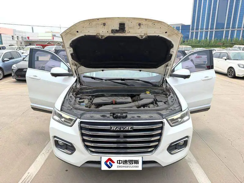 Haval H6 2020 1.5GDIT Automatic Platinum Champion Edition — 8